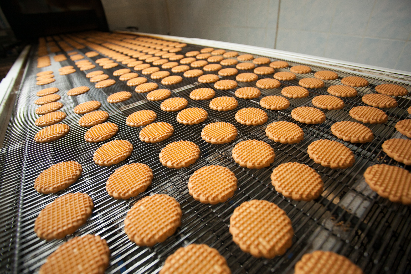 Calorie reduction in biscuits | Bakery Academy